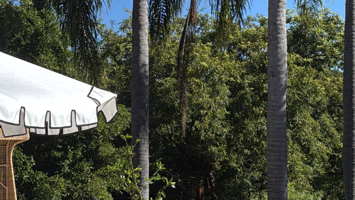 Covenant Resort | Resort with tennis, volleyball and soccer court, sauna and much fun areas