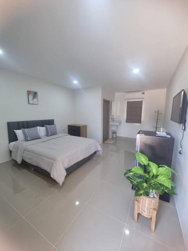 Phunphin Hotel | Rest at Thachang Hotel