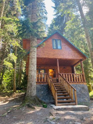 Glola Apartment | Rest House