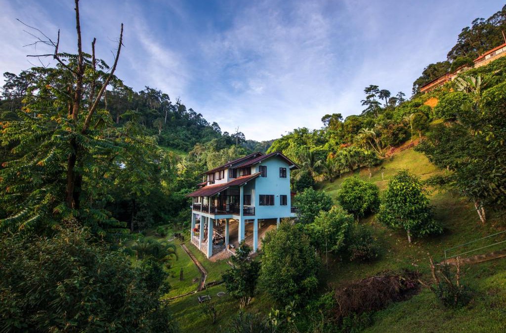 Janda Baik Villa | Rest Pause Rainforest Retreat