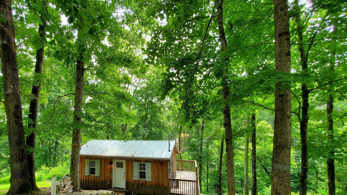 Smithville Cabin | Retreat to Your Private Haven in the Trees