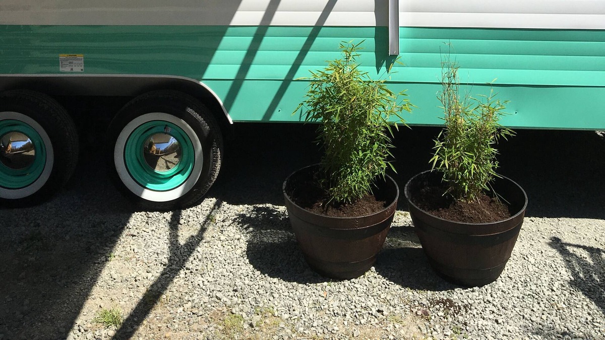 West Sound House | Retro Trailer on the farm