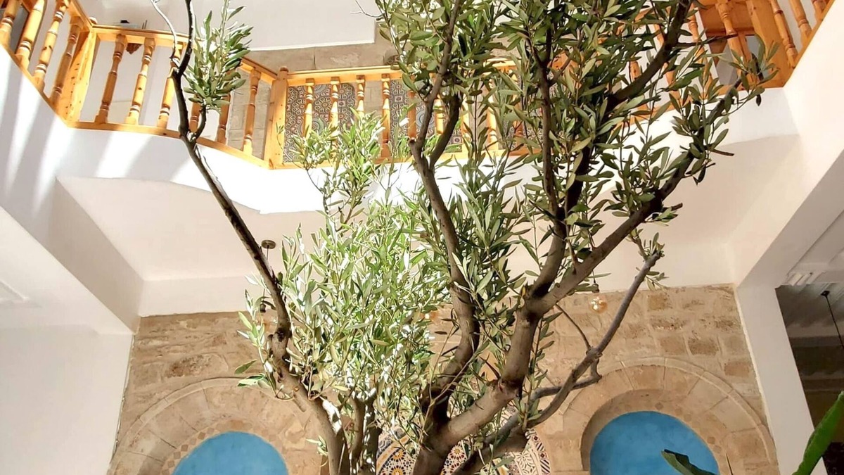 Medina House | Riad Al Manara