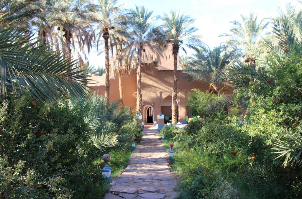 Amezrou House | Riad Tagmadarte Ferme d'Hôte