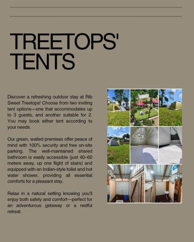 Shillong Other | Rib Sweet Treetops Bed and Breakfast Tents 2 pax