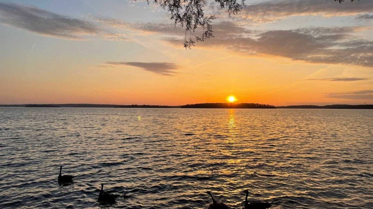 Roseneath Cabin | Rice Lake Cozy Waterfront Cabin