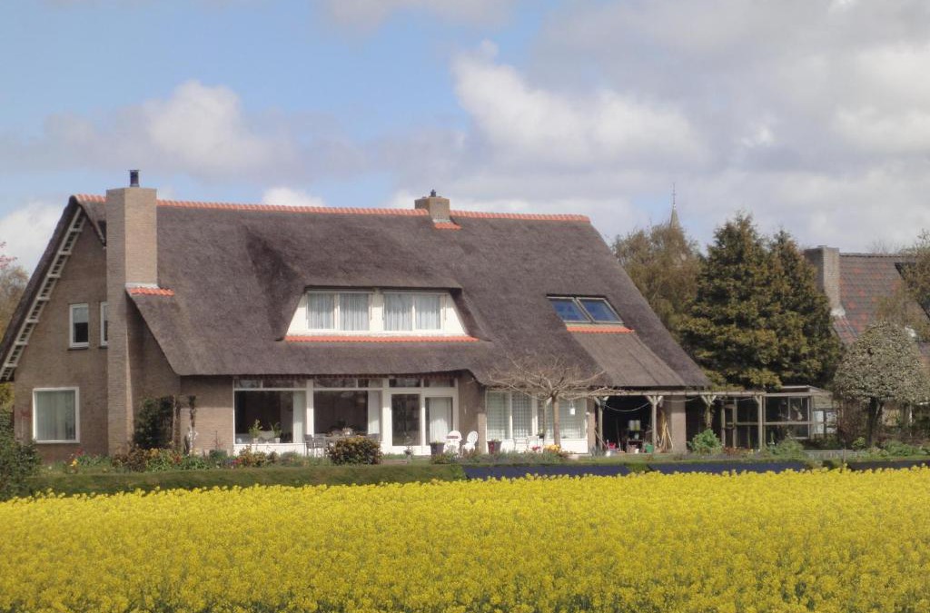 Midlum Bed & Breakfast | Riethove