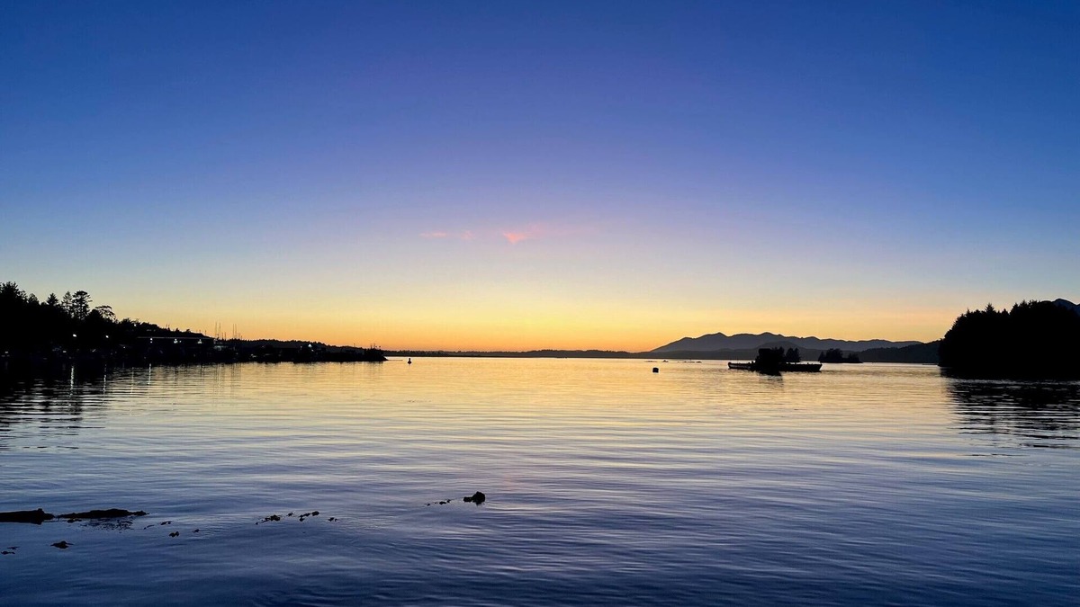 Tofino Boat Rental | Right On The Water Just 4 Minutes Across By Our Boat From Downtown Tofino!