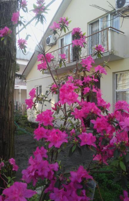 Kobuleti House | Rimma's Place