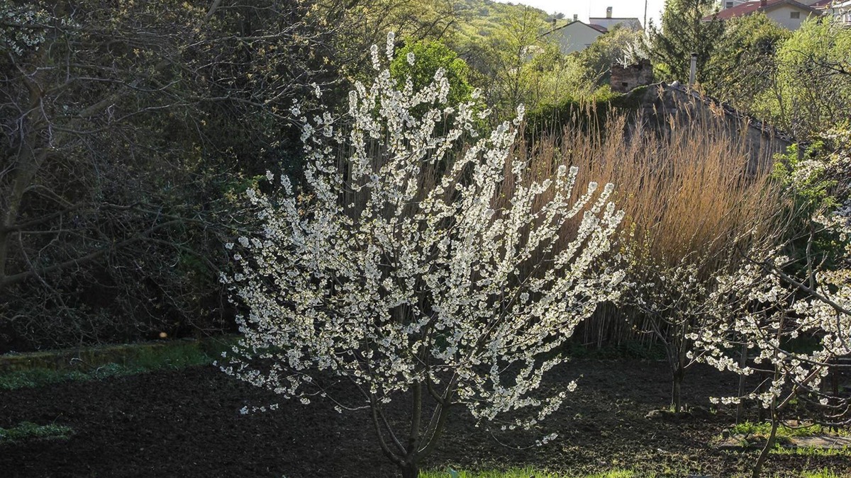 San Giovanni-Chiadino-Rozzol Bed & Breakfast | Rio Farneto B&B