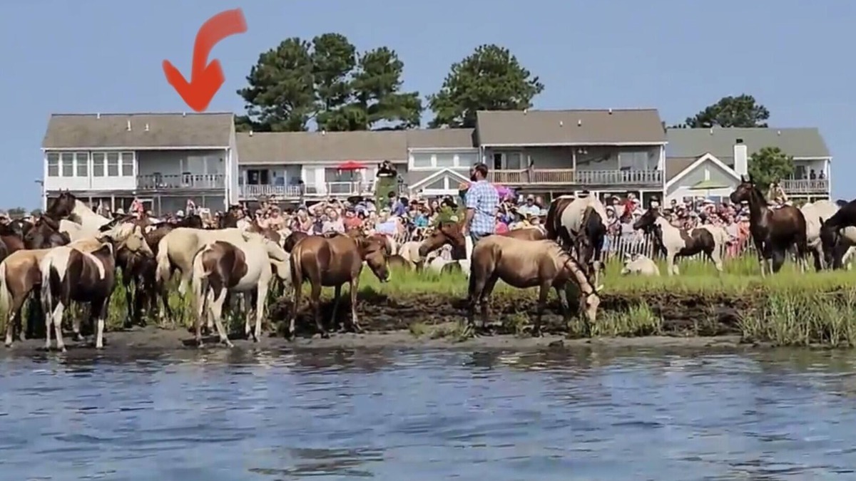 Chincoteague House | Riptide’s Crossing: A waterfront getaway w/deep water dock and incredible views