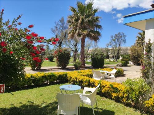 Ladispoli Hotel | Riva di Palo Beach Hotel
