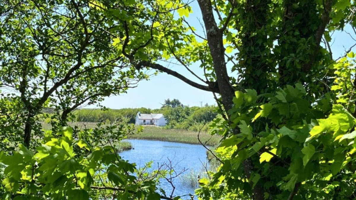 Ballinaboy House | River Cottage, close to the Capital of Connemara