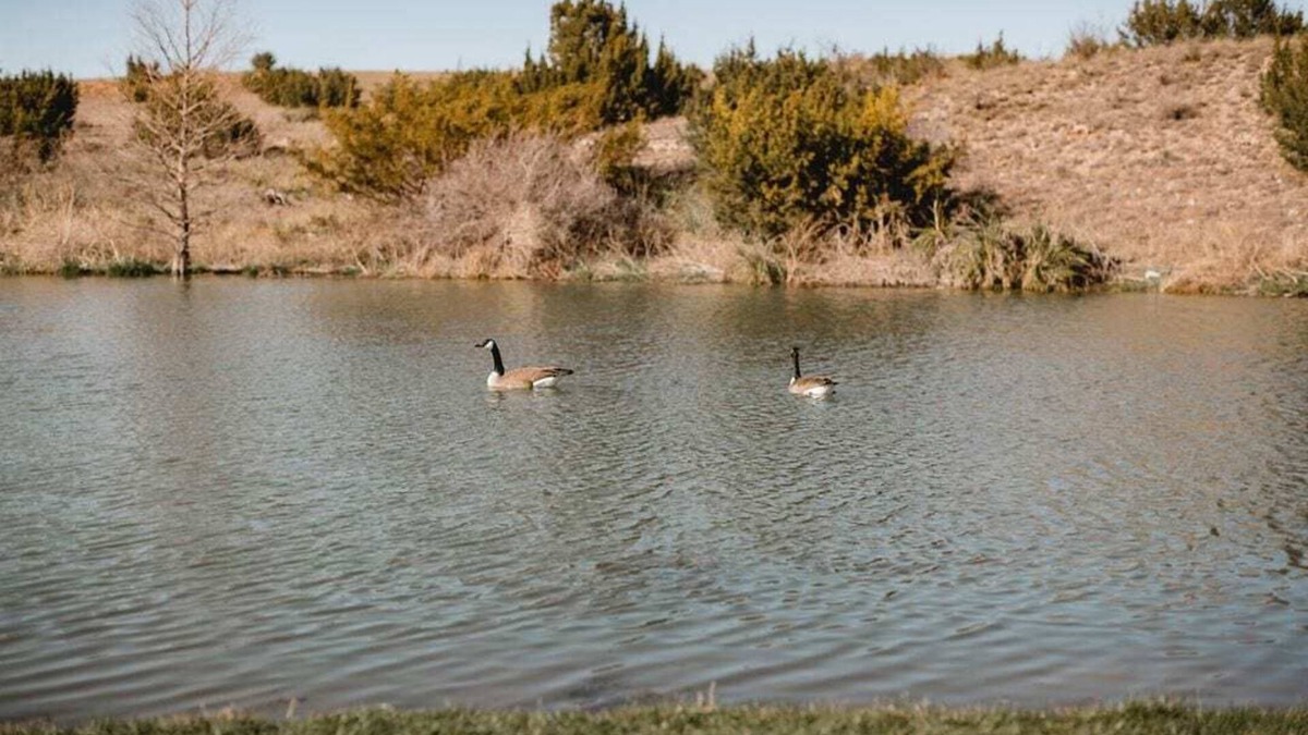 Amarillo Cabin | River Falls Venue & Lodges Two Bedroom Lodge