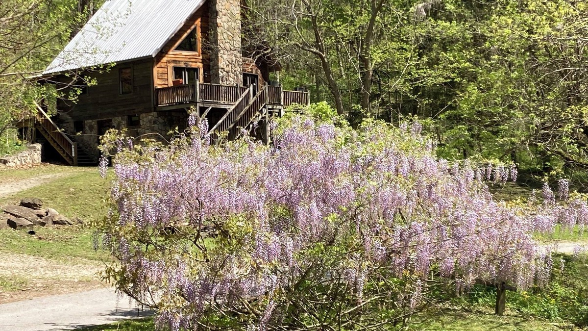Prince Cabin | River Front property in the New River Gorge National Park on the New River