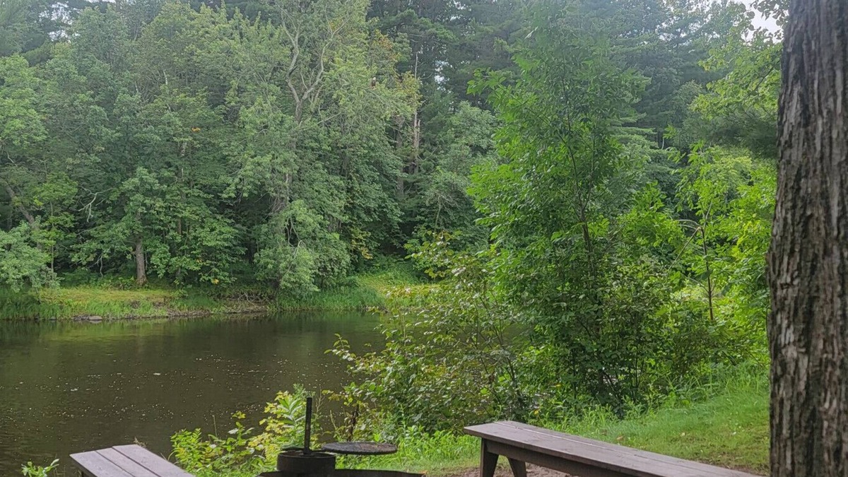 Pine City Cabin | River · Pine City-Riverfront-firepit-kayaks-pets-fireplace