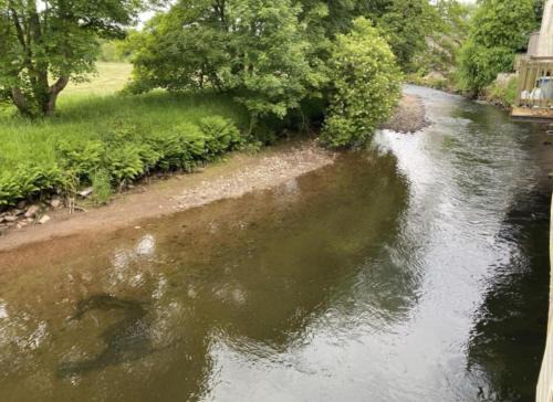 Egremont House | Riverbank Cottage River Ehan Double Balcony