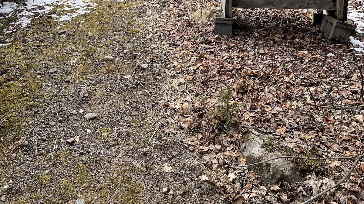 Mountain Cottage | Riverfront Cottage on ATV and Snowmobile trail, pet friendly.