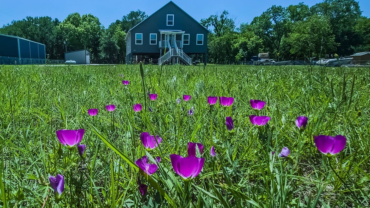Dennis House | Riverside Retreat - Modern, Sleeps 19, Large Groups, Cinema, Dock, Firepit