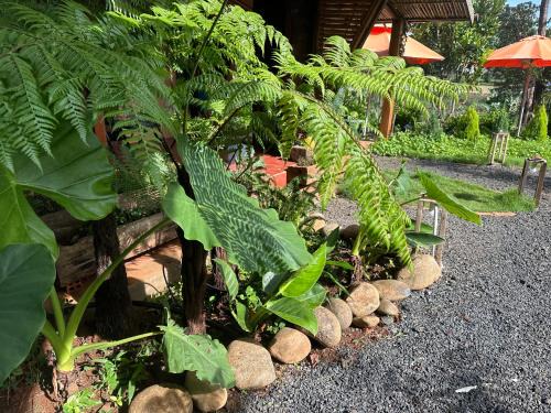 Buon Ma Thuot Other | Riverside