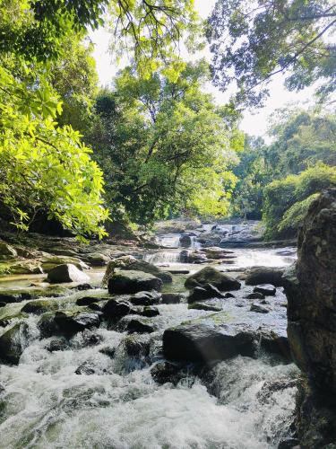 Rattota Cabin | Riverston Water Front Villa