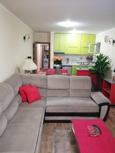 Rozino Apartment | Riviera Apartment Budva