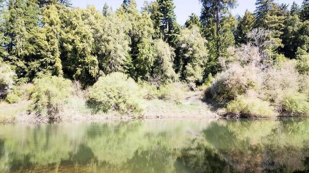 Northwood House | Robin's Hood on the River w/Spectacular Views, near vineyards & coastal beaches