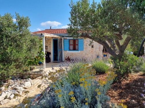 Dobropoljana House | Robinson house Ruža