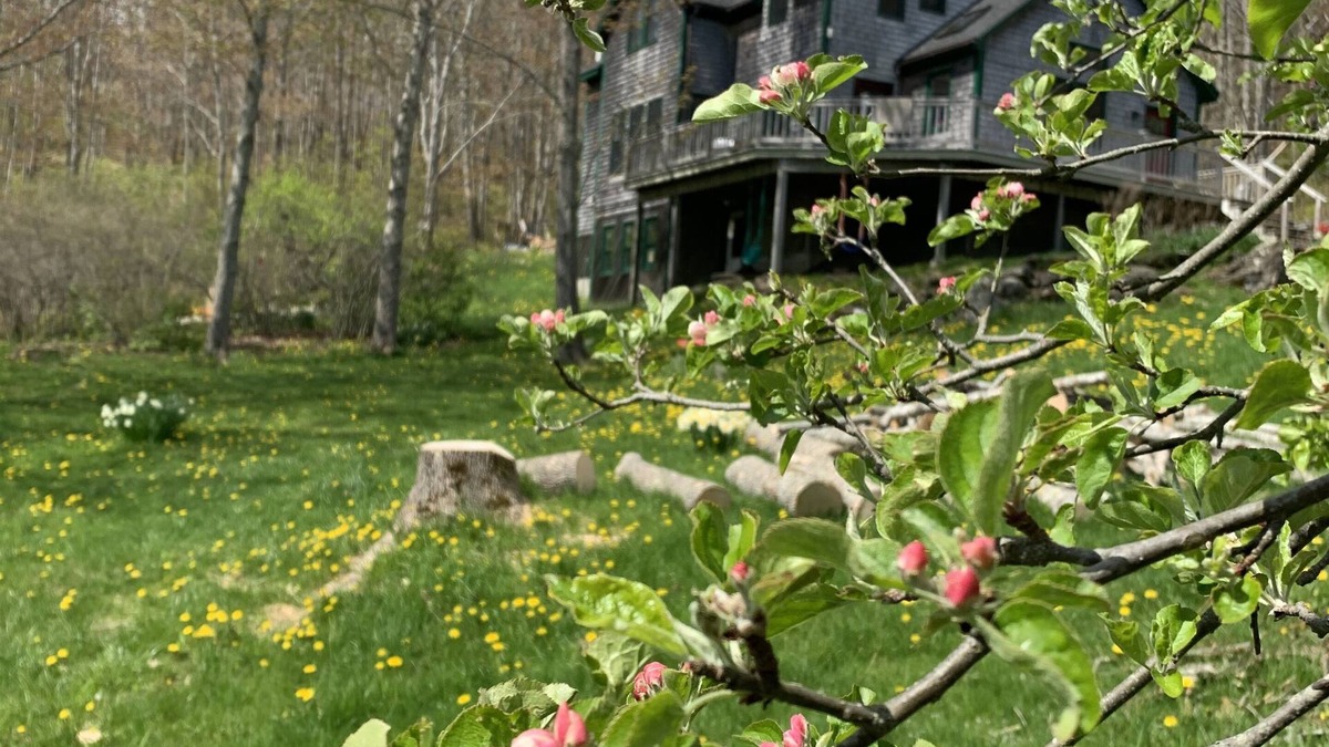 Rockport House | Rockport Eco Homestead
