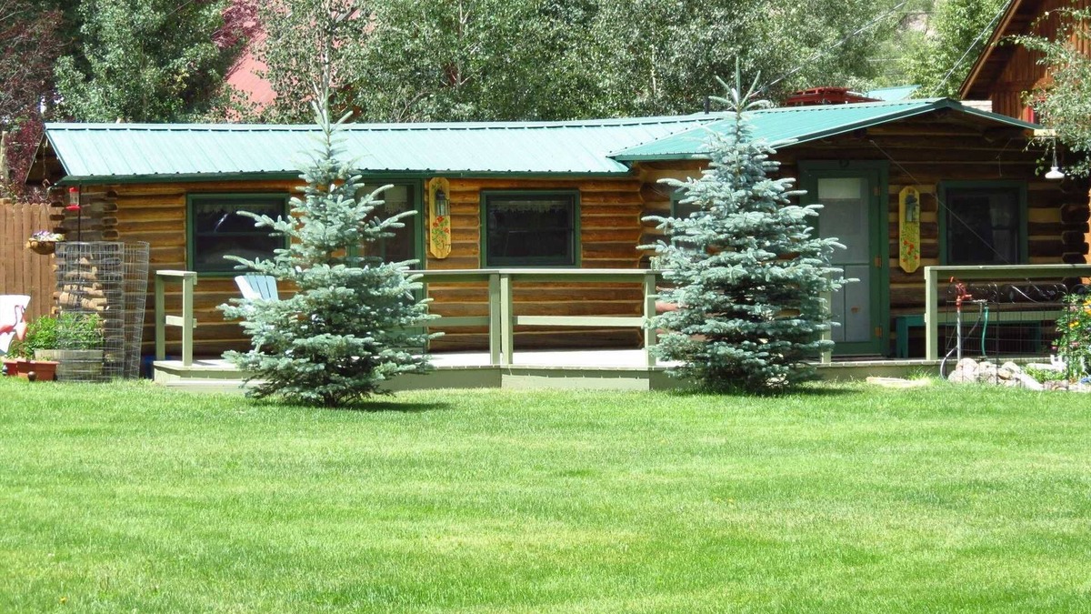 Lake City Cabin | Rocky Rose - One Block from Town!