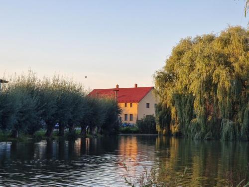 Hlusovice Villa | Rodinný dům u rybníka v blízkosti Olomouce