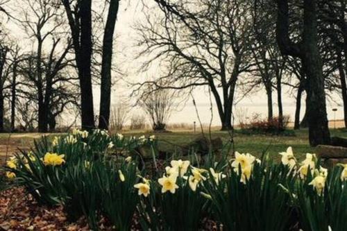 Checotah House | Rolling Oaks Retreat on Eufaula Lake, OK