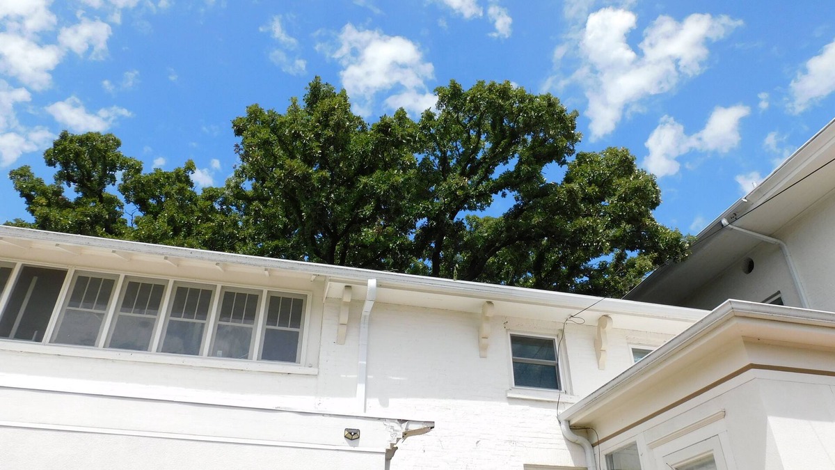 Columbus Villa | Romantic 1854 The Governor Lewis Mansion Daily or Overnight rentals