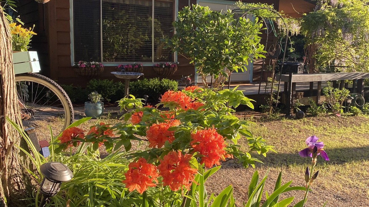 Halfmoon Bay Cottage | Romantic Cottage with a covered Gas Fire Pit, 10 min walk to Sargeant Bay Beach