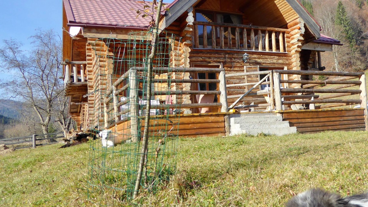 Zarnesti Cabin | romantic log cabin in the Carpathian Mountains