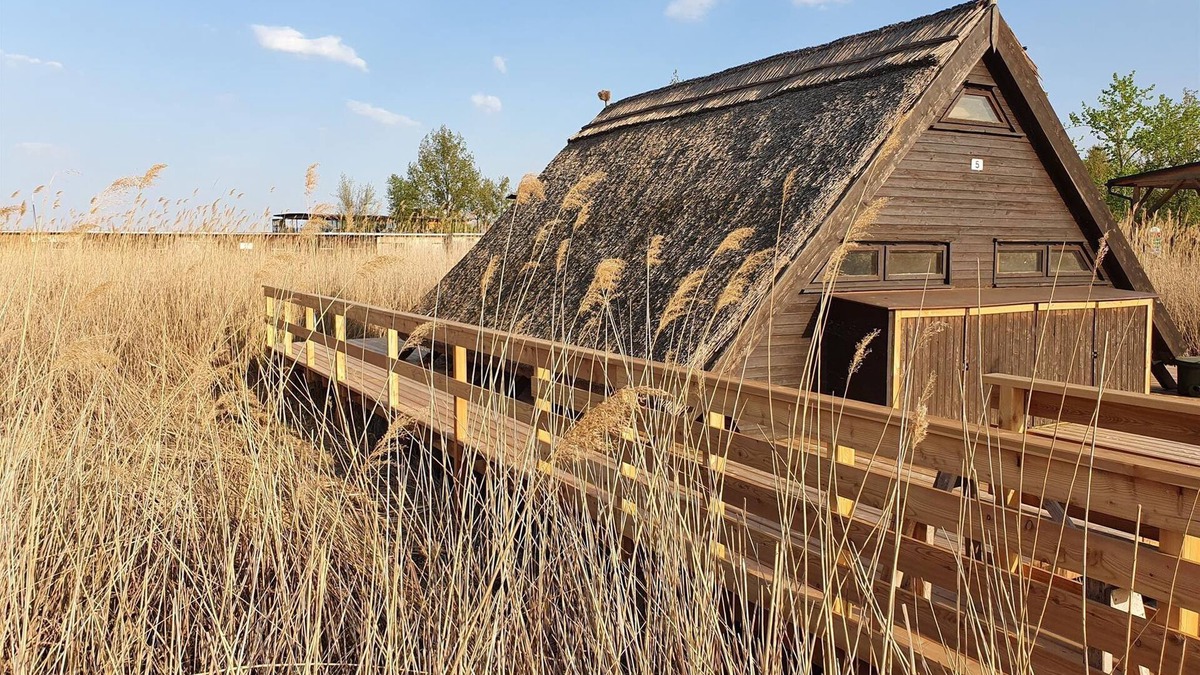 Rust Apartment | Romantika5 - Schilfhaus, Dusche, WC, Seeblick