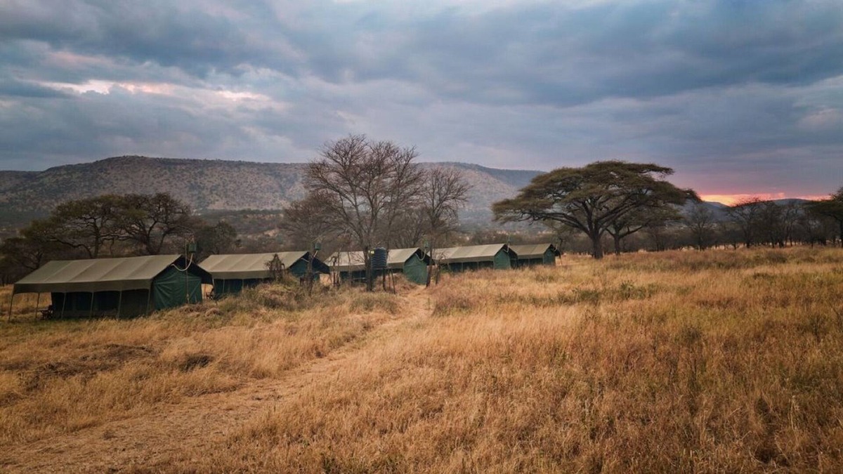 Seronera Other | Rongai Eleven Serengeti Camp