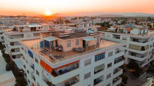 Velipoje Apartment | Rooftop Florale