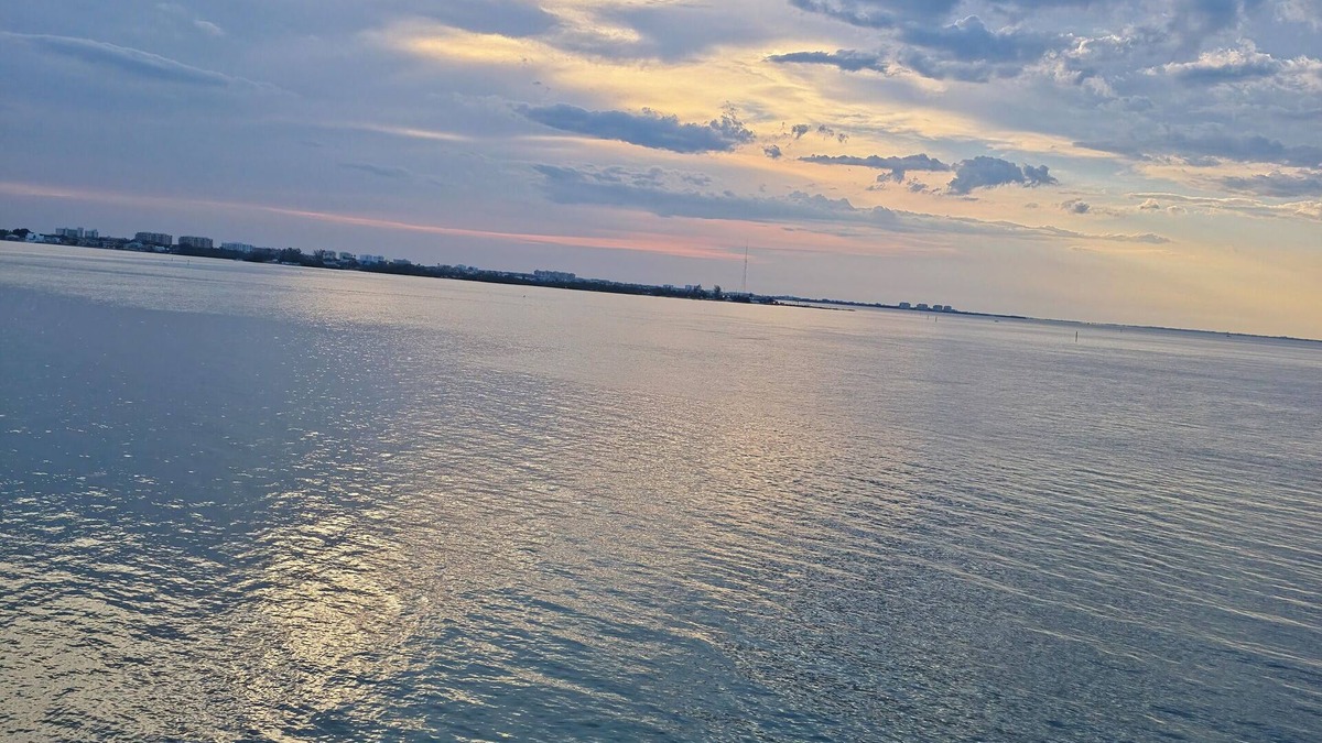Sarasota House | Room & bathroom in beautiful downtown near siesta key& lido beach!