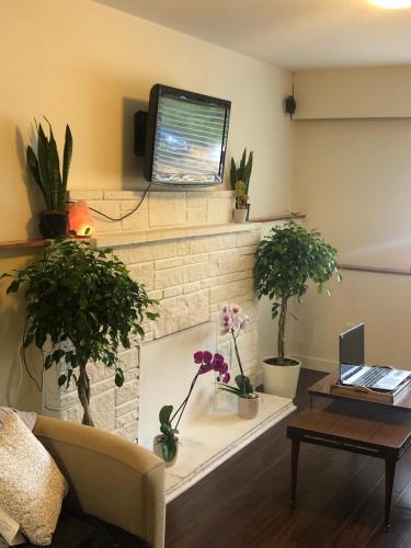 Kitsilano House | Room in a Quiet-comfy 3 bedroom-shared home on a tree lined street in Kits