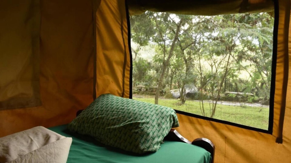 Nyakinama House | Room in B&B - Red Rocks Rwanda - Safari Tent Twin