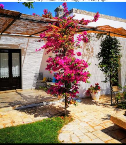 Rosa Marina House | Room in BB - Spacious double room in ancient Masseria near the sea in a quiet olive trees