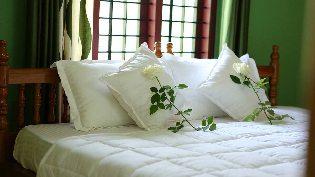 Kolagappara House | Room-wayanad Stay- The Coffee-suite