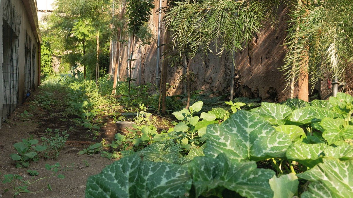 Borgo-Sanzio Hotel | Rooms alCentro