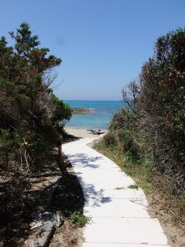 Rosa Marina House | Rosa Marina Frontline Beach