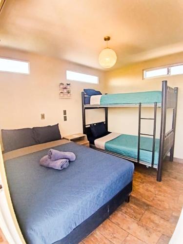 Durango House | Rose Room literas , Paseo Durango