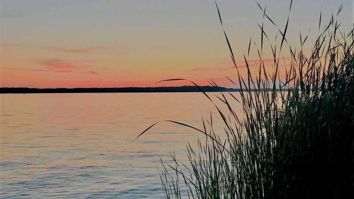 Ludington House | Rose's Retreat on Hamlin Lake-Private Paradise with Picturesque Views
