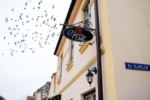 Historic Center House | Rosen Villa Sibiu