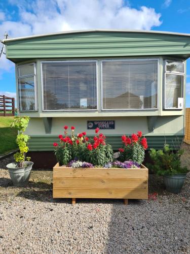 Stonehaven Other | Rowanlea Caravan