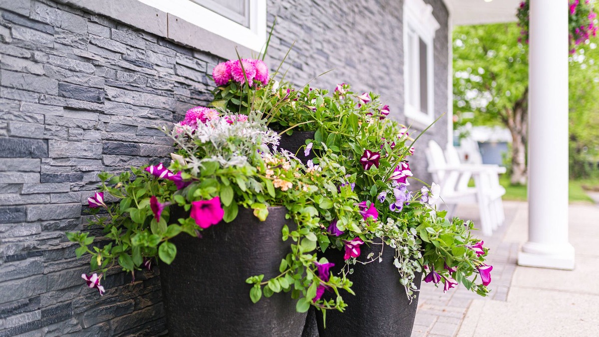 Happy Valley - Goose Bay Hotel | Royal Inn & Suites